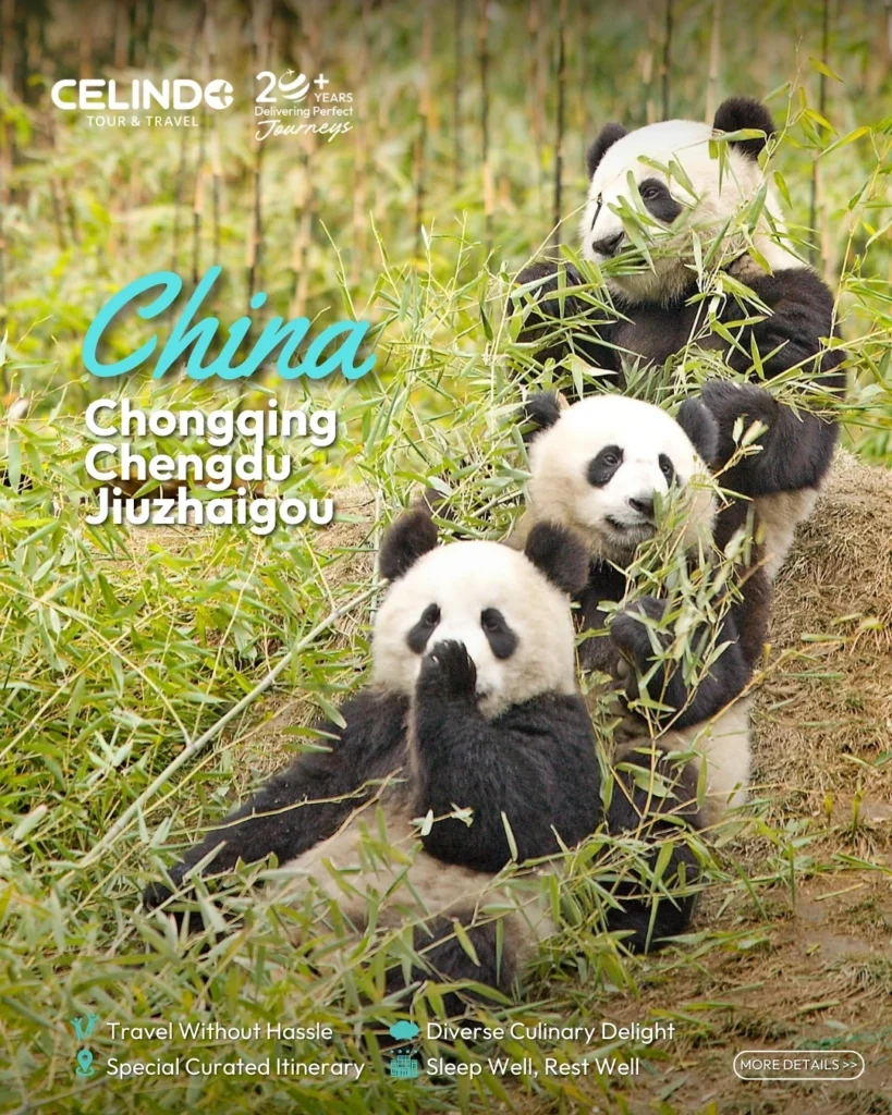 China_Chongqing_Chengdu_Jiuzhaigou_Tour_1